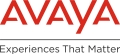 Avaya Hydraulic Pumps