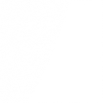 Corning Optical Cables