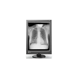 Eizo 21.3-Inch Medical LCD Monitor with 3MP Resolution