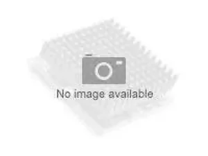 CM8062301061800 | Intel E3-1260L 2.4 GHz Low Power LGA 1155