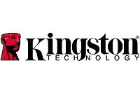 KINGSTON-KTT-SO100/256-G