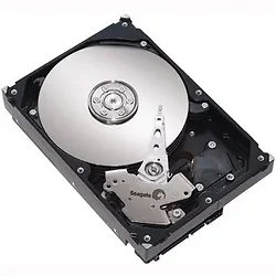 SEAGATE-ST3250410AS