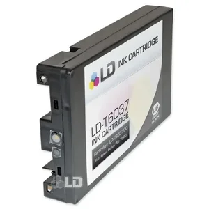 T602700 | Epson UltraChrome K3 Ink - Light Black 110ml