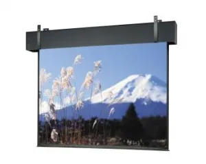 Da-lite 81628 Pro Electric Projector Screen 18x18in Mw