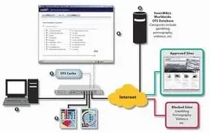 01-SSC-5509 | Sonicwall CFS Standard for TZ 150 Series - 1