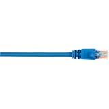 Black CAT5EPC-006-BL Multimode Fiber Cable Ceramic, Pvc Sc-sc