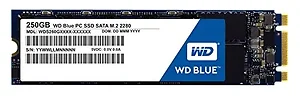 WDS250G1B0B | Western Digital WD Blue 250GB Internal SSD