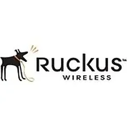 Ruckus-911-2101-DP01