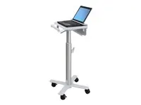 Ergotron SV10-1100-0 Styleview Laptop Cart, Sv10