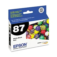EPSON-T087820