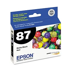 EPSON-T087820