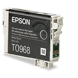 EPSON-T096820