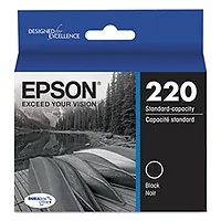 EPSON-EPST220120