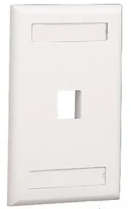 NK1FIWY | Panduit Flush Mount Communication Faceplate with