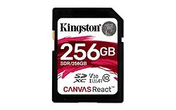 KINGSTON-SDR/256GB
