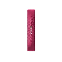Fitbit-FB403MG