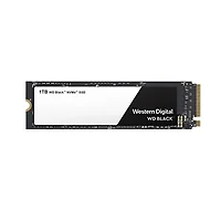 WESTERN DIGITAL-WDS100T2X0C