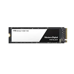WESTERN DIGITAL-WDS100T2X0C