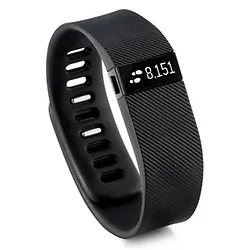 Fitbit-FB404BKS