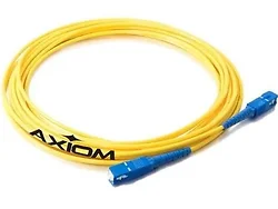 AXIOM-LCSTSS9Y-15M-AX