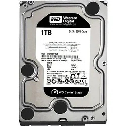 Western Digital-WD1001FYYG
