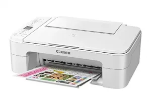 Canon 2226C022 Pixma Ts3120 White