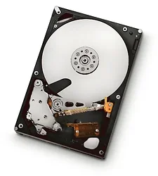 HGST-0A39289