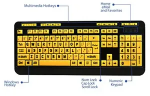 Adesso AKB-132UY Luminous 4x Large Print Multimedia Desktop Keyboard -