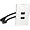WP-HM2PT | Comprehensive White HDMI Wall Plate with Dual