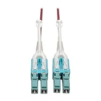 Tripp Lite-N821-06M-MG-T