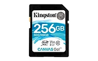 KINGSTON-SDG/256GB