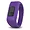 Garmin Garmin vívofit jr. Small Purple Band