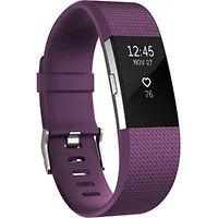 Fitbit-FB407SPML