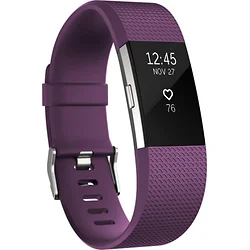 Fitbit-FB407SPML