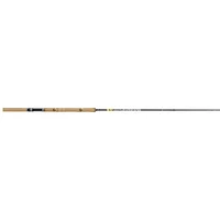 BnM Fishing-DCDT82