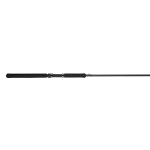 CWRB10 | Bnm Fishing BnM Crappie Wizzard 10.5' 2-Piece Rod
