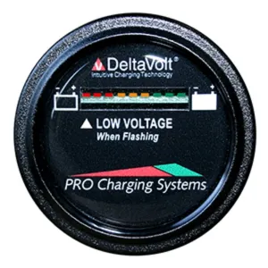 Dual BFGWOV24V Battery Fuel Gauge - Deltaviewreg; Link Compatible - 24