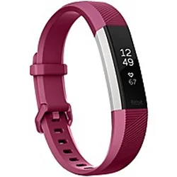 Fitbit-FB408SPML
