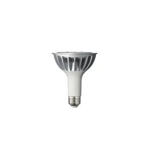 SI-P8V163CD1US | Samsung 15W PAR30 LED Light Bulb, 3000K,
