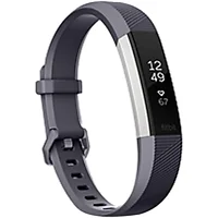 Fitbit-FB408SGYL