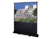 Da-lite 83316 Deluxe Insta Theater 80in Man Projector Screen