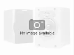 SP-L460DB | Samsung Left/Right Channel Speakers