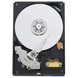 Western Digital-WD5000AAVS