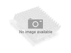 44E5122 | Ibm Intel Xeon X5450 Quad-Core Processor 3.0 GHz