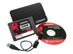 KINGSTON-SV100S2N/256GZ