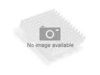 Lenovo 0A89395 Intel Xeon E5645 Proc Opt Kit For Ts Rd230