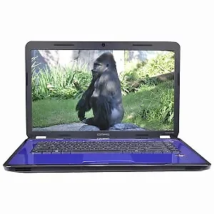 CQ58-BF9WM-PB-B | Hp Compaq Presario CQ58 15.6