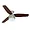 HR28671 | Hunter Fan Company Hunter 52-Inch Infiniti