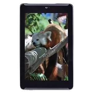 GRY-ME372CG-R | Asus Fonepad 7