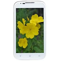 Brocade-NCES-4X-SVL-NDP-4